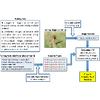 Structured Prediction with Output Embeddings for Semantic Image Annotation